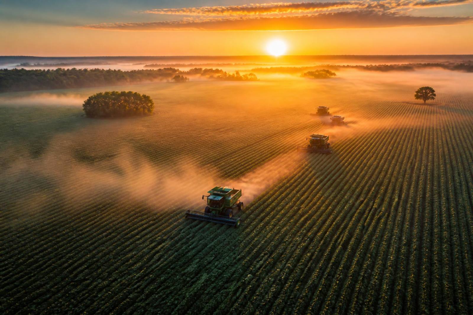 Colheita de grãos ao amanhecer em lavoura do Paraná